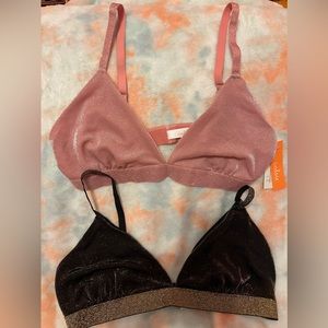 Brand New Set of 2 Colsie Bralettes